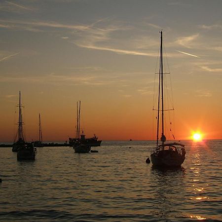 Tamaris, 600 M From The Beach Novigrad  Екстер'єр фото