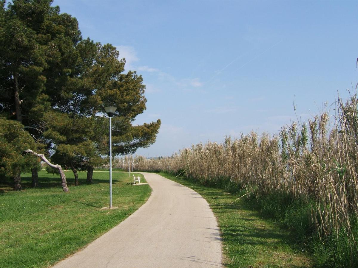 Tamaris, 600 M From The Beach Novigrad  Екстер'єр фото
