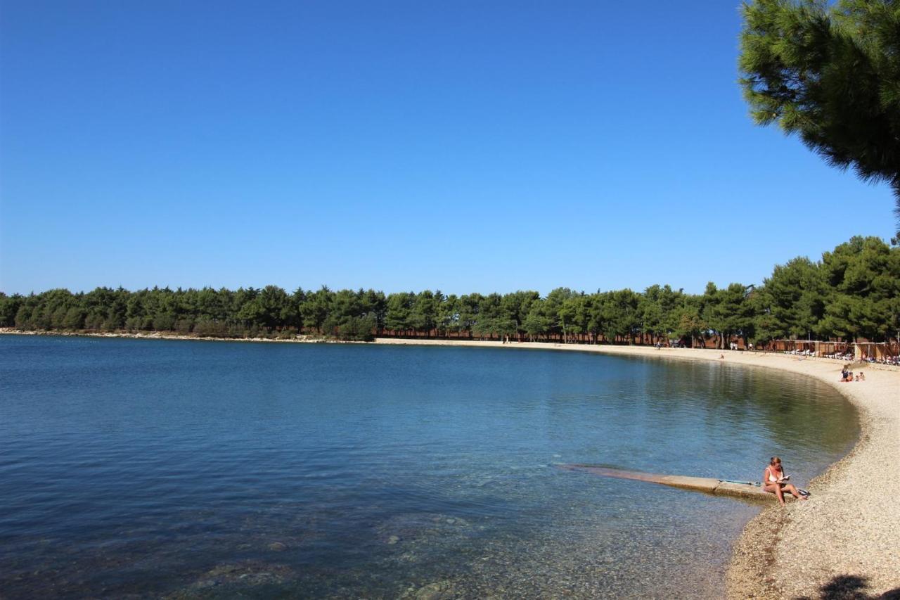 Tamaris, 600 M From The Beach Novigrad  Екстер'єр фото